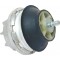 XK8 /XJ MOTOR KULAĞI 